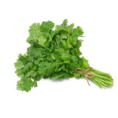 Coriander | Dhania