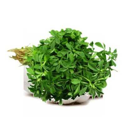 Fenugreek | Methi