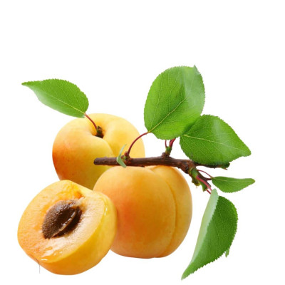 Apricot | Khoobani